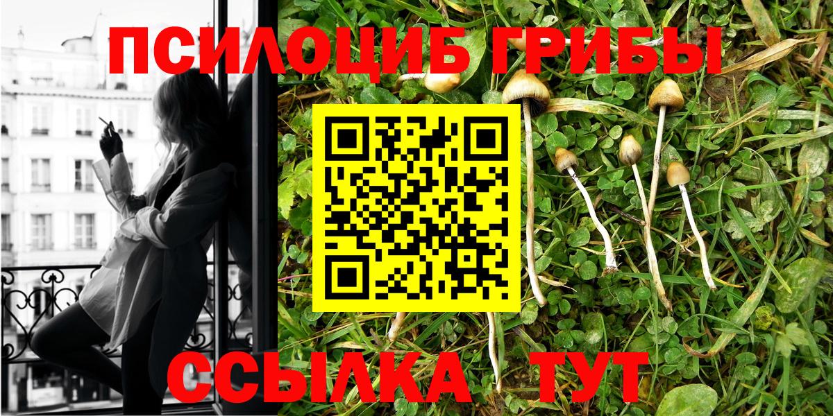 Псилоцибиновые грибы GOLDEN TEACHER Гагарин