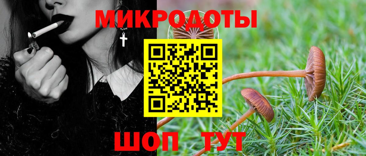 Псилоцибиновые грибы Psilocybine cubensis  Вход с VPN  Галлюциногенные грибы MAGIC MUSHROOMS  как найти закладки  Гагарин 